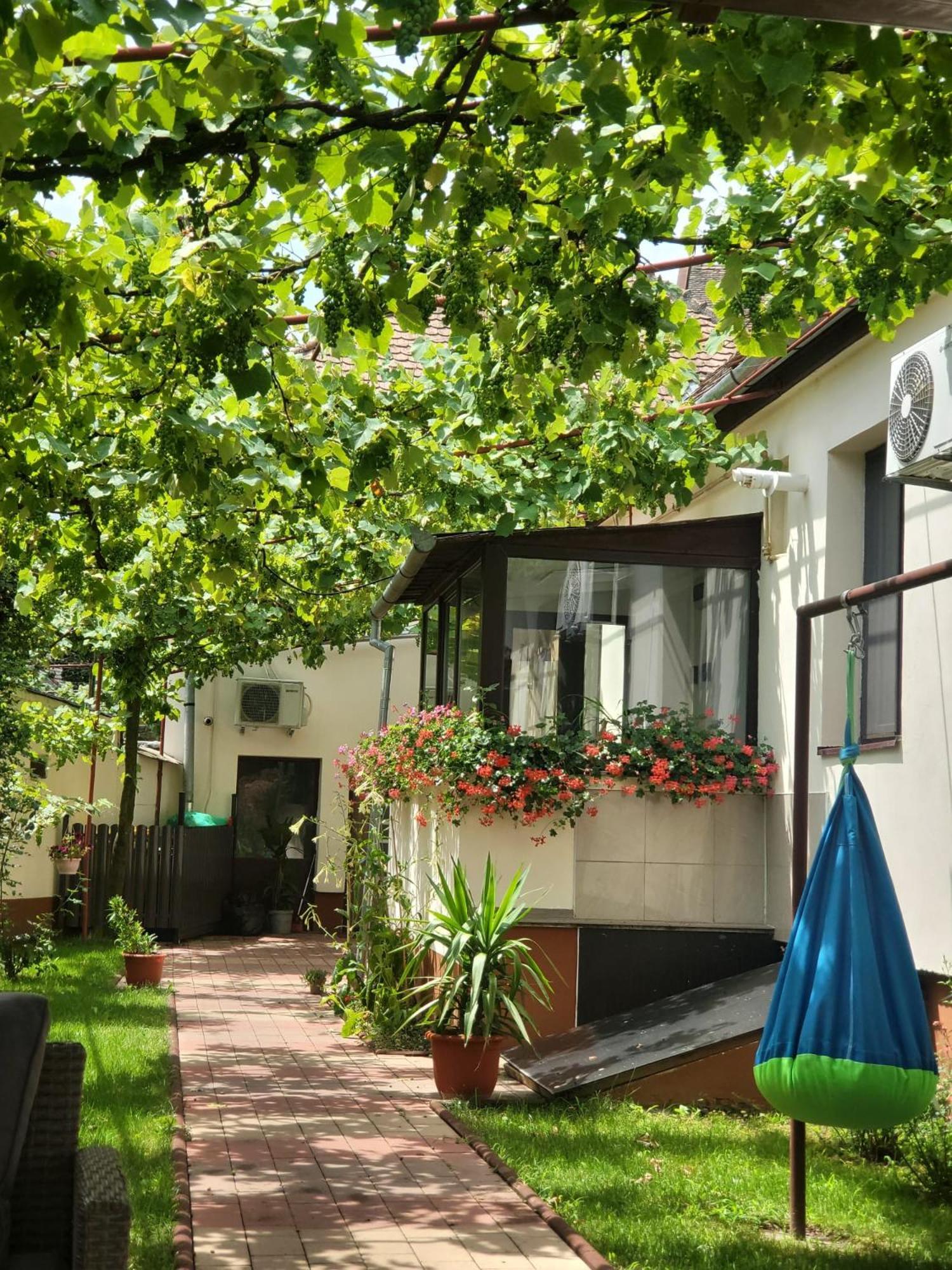 Ana'S Home Sibiu Dış mekan fotoğraf